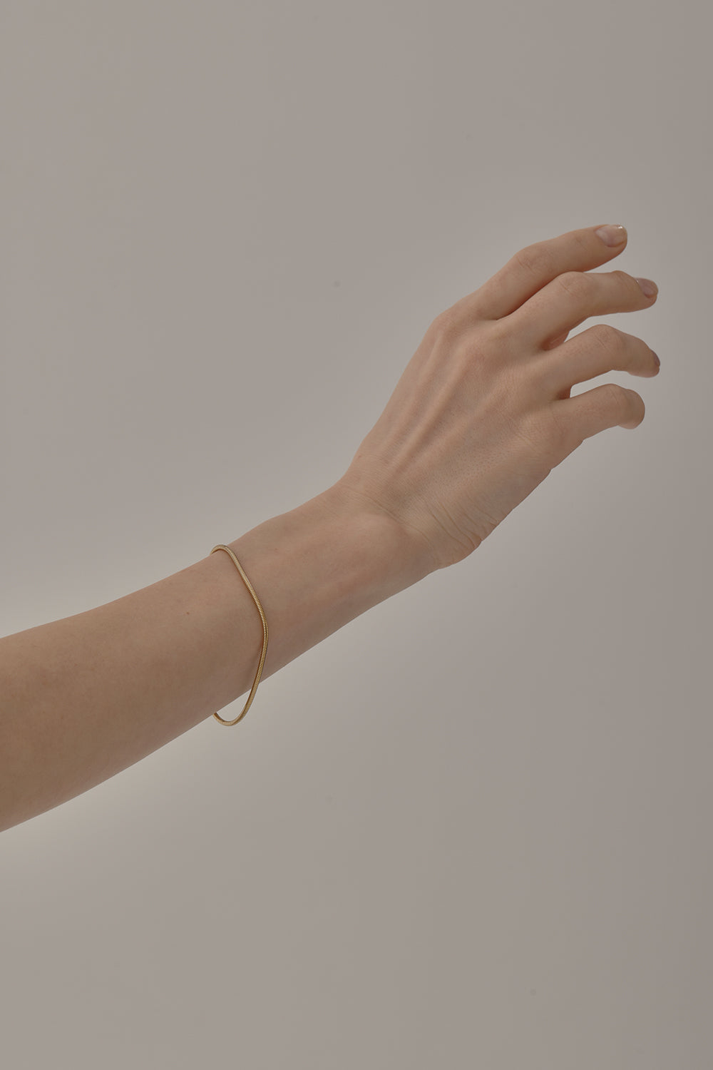 Every Bracelet（Snake）